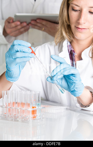 Scientists at the laboratory with chemicals and tablet computer Stock Photo