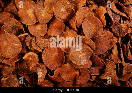 dried betel nut background Stock Photo