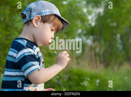 The little boy in a cap blows on a dandelion. Stock Photo