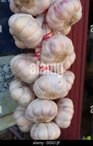 String of pink garlic on sale in medieval town of Cordes sur Ciel, Tarn district, France Stock Photo
