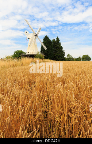 19C Kentish smock mill white wooden windmill beyond a cornfield of ripe Barley crop ready for harvest. Woodchurch, Kent, England, UK, Britain Stock Photo