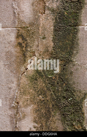 close-up view of mossy weathered stone wall Stock Photo