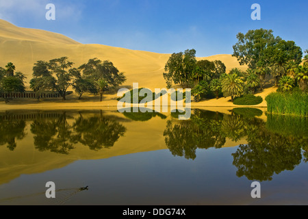 Reflection of sand dunes and palm trees in oasis at Huacachina in Peru. Stock Photo