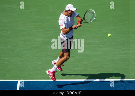 Novak Djokovic (SRB) competing at the 2013 US Open Tennis Championships. Stock Photo