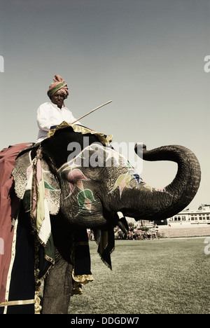 Royal elephant procession during Elephant Festival, Jaipur, Rajasthan, India Stock Photo