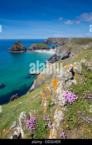 Kynance Cove; Lizard; Cornwall; UK Stock Photo