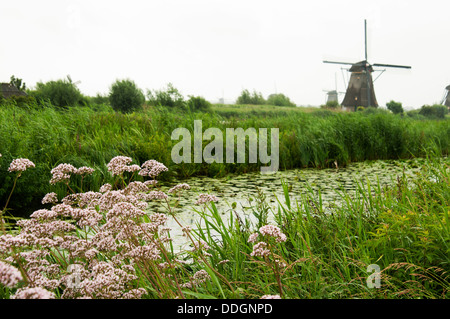 Kinderdijk is a village in the Netherlands, belonging to the municipality of Molenwaard, in the province South Holland. Stock Photo