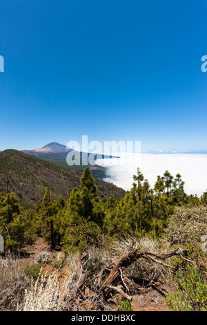 Spain, View of Teide National Park Stock Photo