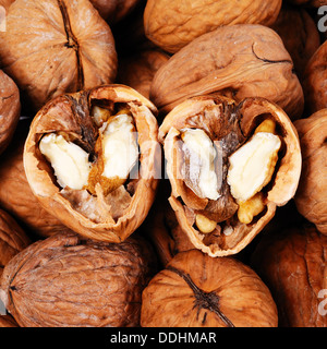 Walnuts in their shells. Stock Photo