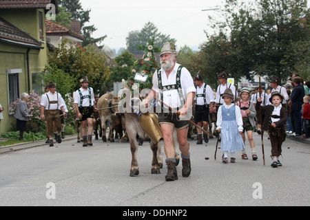 Traditional cattle drive in the Allgaeu, farmer leading the herd with a decorated cow Stock Photo