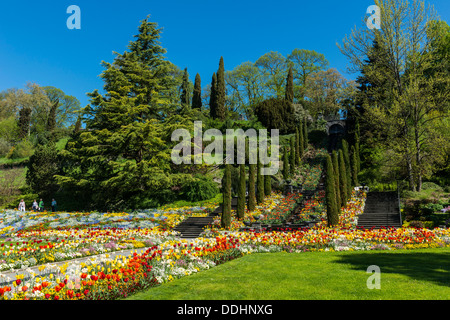 Landscape gardening and blooming flowers Stock Photo