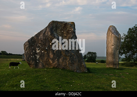 Part of Avebury Stone Circle, Wiltshire. The largest stone circle in Europe, Avebury village is encompassed within it. Stock Photo