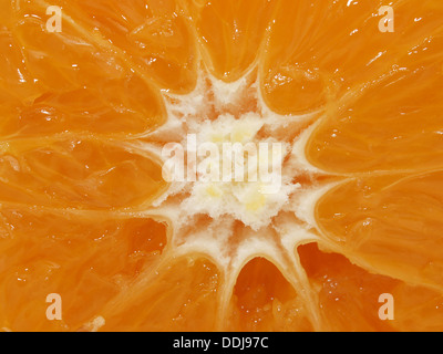 Pulp of a orange Stock Photo