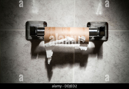 EMPTY TOILET PAPER ROLL HOLDER TOILET WALL Stock Photo