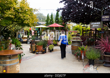 Middle-aged woman browsing a nursery amongst a collection of lush plants and outdoor decorator items in Cambria, California Stock Photo