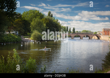 Man rowing on the river Severn Worcester Worcestershire England Stock Photo