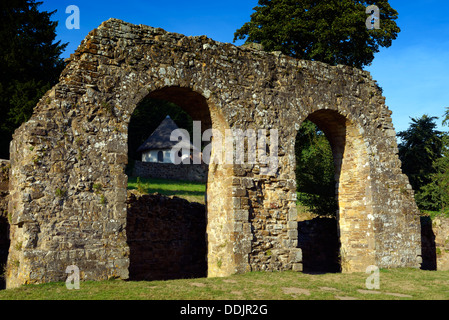 A section of the redorter (communal latrine) of the Monk's dormitory range, Battle Abbey, East Sussex, UK Stock Photo