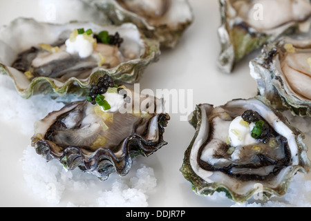 Oysters on the half shell with caviar Stock Photo