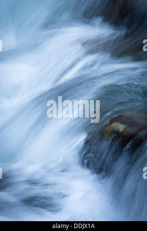 Ohanapecosh River, Mount Rainier National Park, Washington, USA Stock Photo