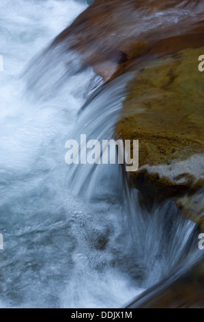 Ohanapecosh River, Mount Rainier National Park, Washington, USA Stock Photo