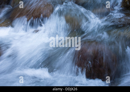 Ohanapecosh River, Mount Rainier National Park, Washington, USA Stock Photo