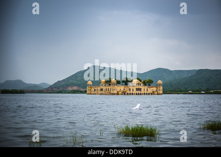 Jal Mahal water palace in Jaipur with bird in flight Stock Photo