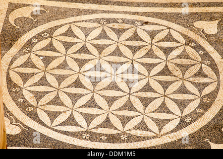 Patterned mosaic on the floor of one of the terrace houses, Ephesus, Turkey Stock Photo