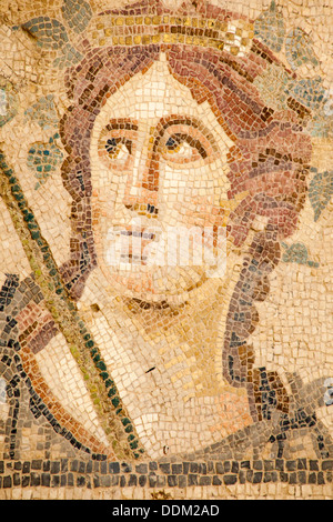 Mosaic on the floor of one of the terrace houses, Ephesus, Turkey Stock Photo