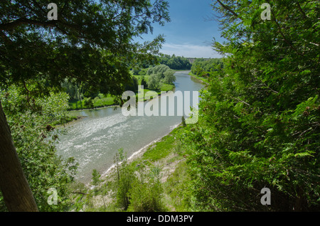 A scenic view of the Saugeen River in Ontario, Canada, framed by lush green trees. The river flows gently under a clear blue sky. Stock Photo
