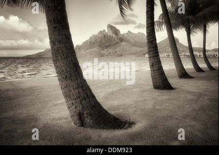 Sandy beach with palm trees and Mt. Otemanu. Bora Bora. French Polynesia.
