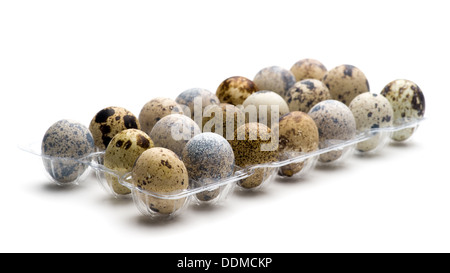 Quail eggs in the nest Stock Photo