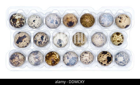 Quail eggs in the nest Stock Photo