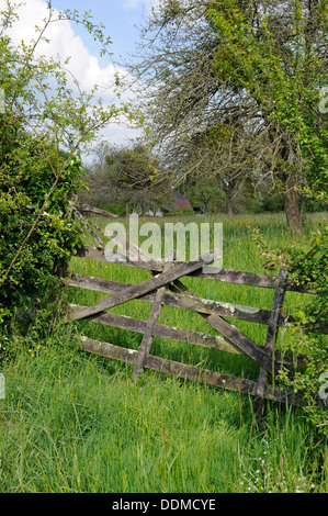 Typical gated field in the Bocage area of Normandy in France Stock Photo