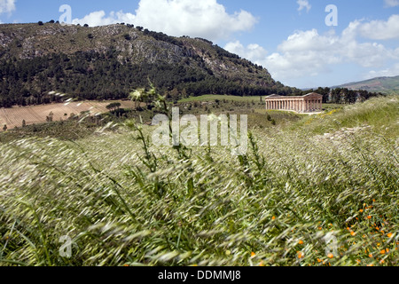 summer landscape with ancient Roman temple of Venus, Segesta village, Sicily, Italy Stock Photo