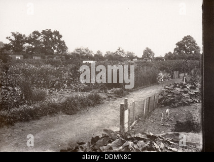 Allotments, Haxby Road, York, Yorkshire,1900. Artist: Unknown Stock Photo