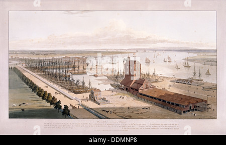 Brunswick Dock, and East India Dock, Poplar, London, 1803. Artist: William Daniell Stock Photo