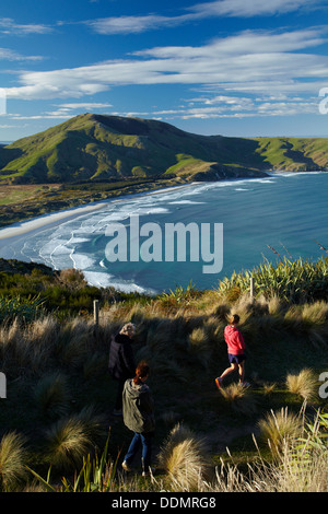 Tourists on track to The Chasm, Allans Beach and Mt Charles, Otago Peninsula, Dunedin, Otago, South Island, New Zealand Stock Photo