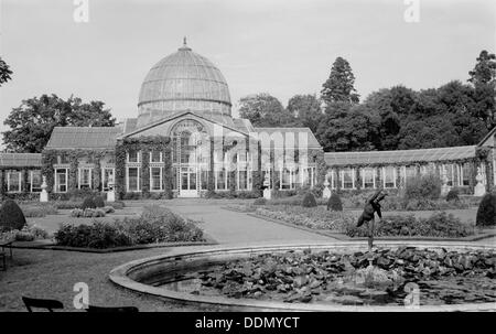 Conservatory at Syon House, Isleworth, London, c1945-c1965. Artist: SW Rawlings Stock Photo