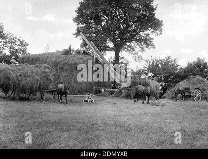 Men piling hay using a horse powered elevator, Stanford in the Vale, Oxfordshire, c1860-c1922. Artist: Henry Taunt Stock Photo