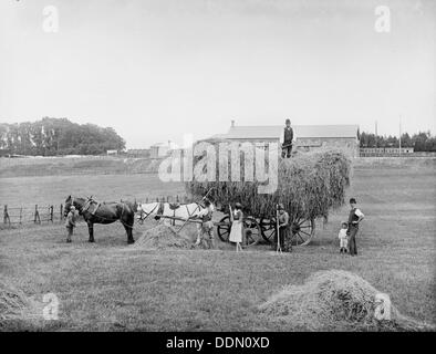 Kings Grove, Maidenhead, Berkshire, c1890. Artist: Henry Taunt Stock Photo