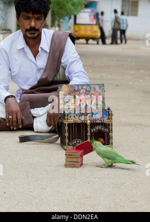 Indian street Astrologer / Fortune Teller with a parrot. Andhra Pradesh, India Stock Photo