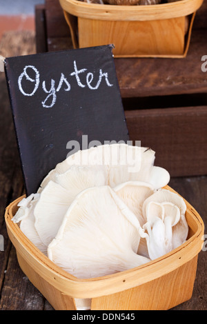 A bamboo punnet of fresh oyster mushrooms - labeled with white chalk on a small blackboard - on a rustic wood surface. Stock Photo