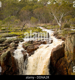 River flows through countryside on its way to Nigretta Falls in Western Victoria, Australia Stock Photo