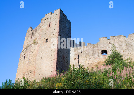 Walls of Ludlow castle, England, UK Stock Photo