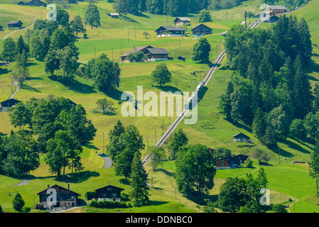 Wengernalpbahn train on slopes near Grindelwald, Switzerland Stock Photo