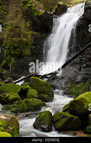 Waterfall, Schluchtensteig, Black Forest, Baden-Wuerttemberg, Germany, Europe