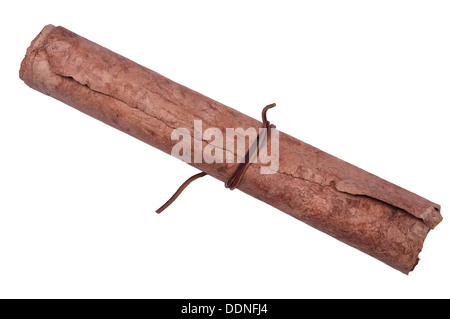 Scroll of old historical parchment. Isolated on white background. Stock Photo