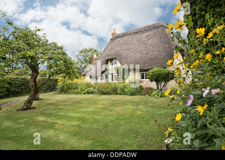 A beautiful traditional English country cottage with thatched roof & pretty garden in Purton, Wiltshire, UK Stock Photo