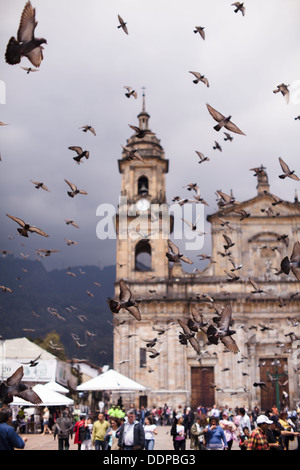 Center of Bogota, Colombia - Primary Cathedral in the Plaza Bolivar with doves in the sky. Stock Photo