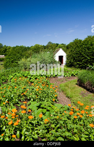 garden of kennixton farmhouse from gower peninsula national history museum st fagans cardiff south wales uk Stock Photo